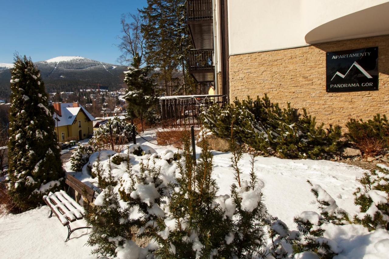 Apartament Panorama Gor - Centrum Miasta Z Widokiem Na Szrenice Szklarska Poręba Buitenkant foto
